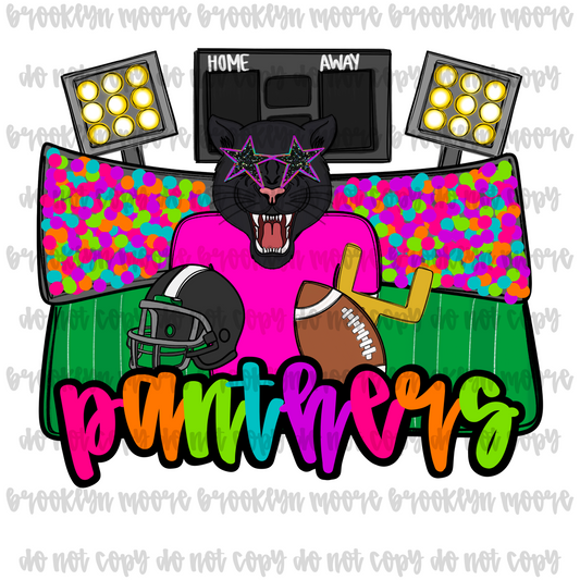 football stadium panthers png